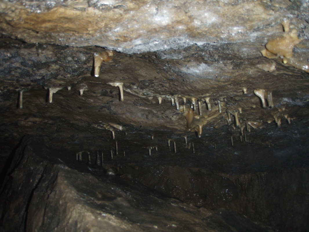cave tours derbyshire